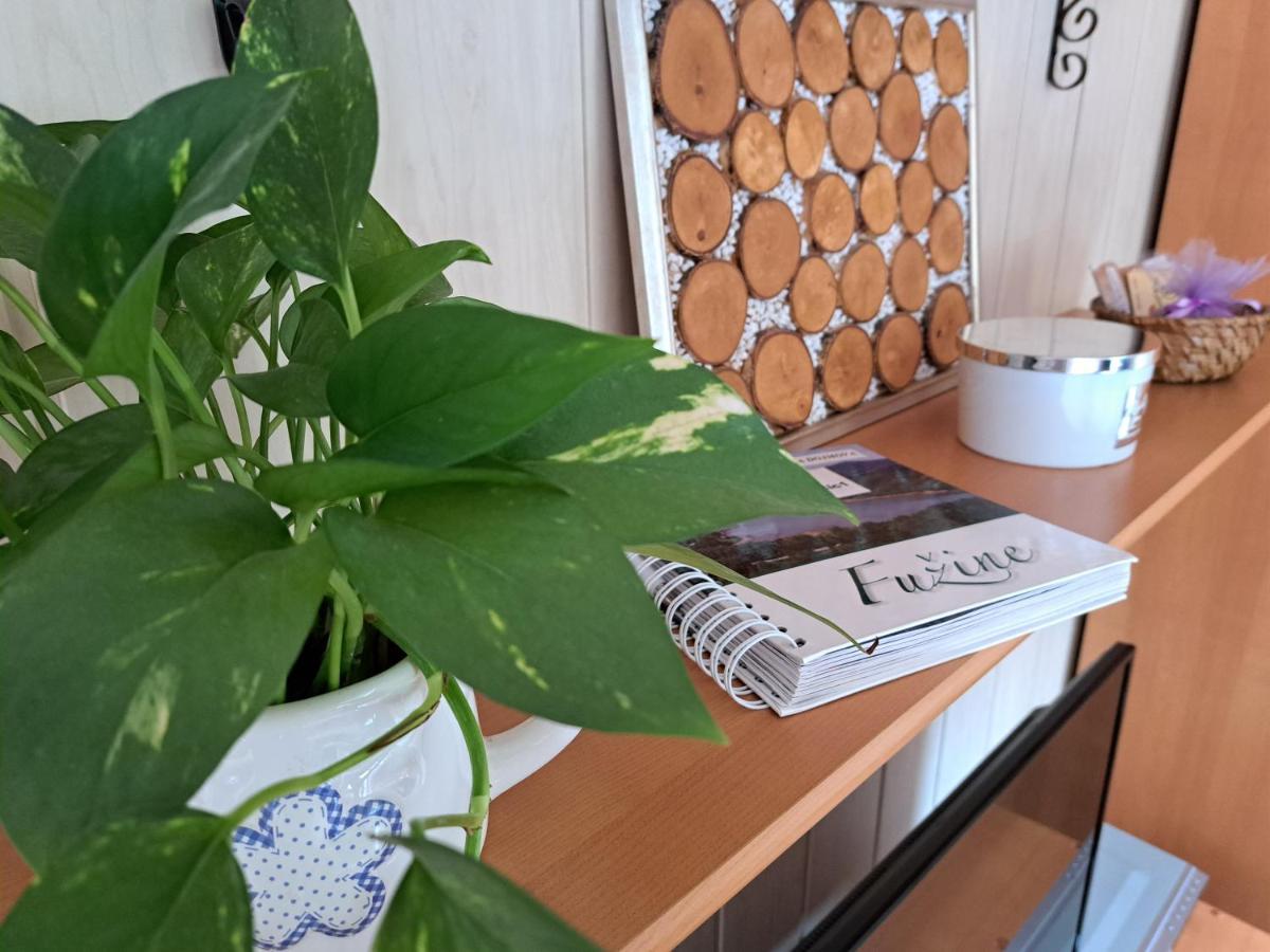 Apartment Erika Фужине Екстер'єр фото